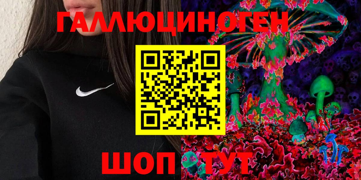 Галлюциногенные грибы GOLDEN TEACHER Киселёвск