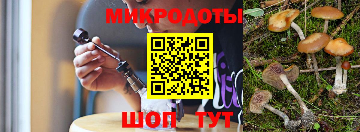 Псилоцибиновые грибы Cubensis  Псилоцибиновые грибы MAGIC MUSHROOMS  Вход с VPN  Киселёвск 
